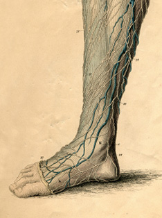 Nerve Disorders of the Foot and Ankle